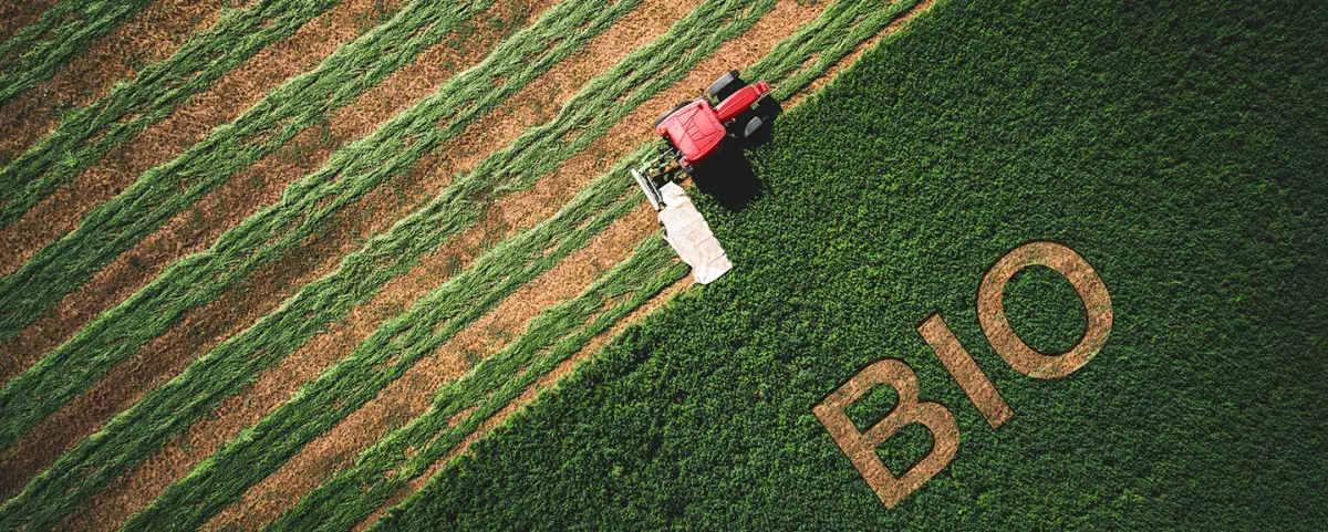 L'agriculture biologique en danger: les agriculteurs bio dénoncent l'enfumage du gouvernement